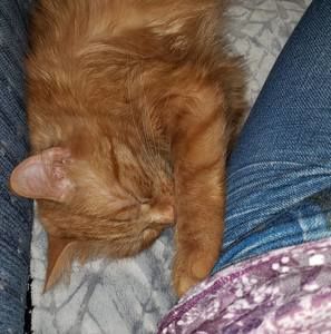 Meet your Posher, Catherine